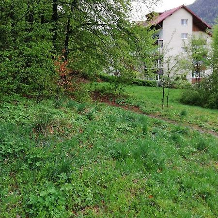 Rustic & Romantic Apartment Braşov Buitenkant foto